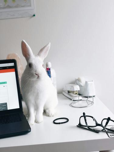 How offerhopper.ai Knows What You Actually Mean